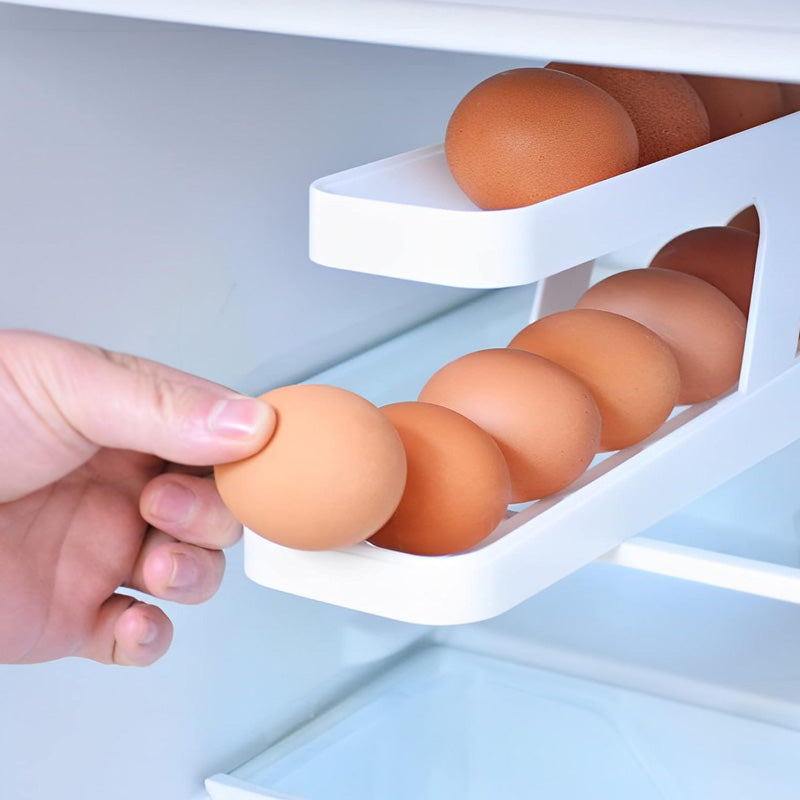 eggtray5 800x800 eggtray5 800x800