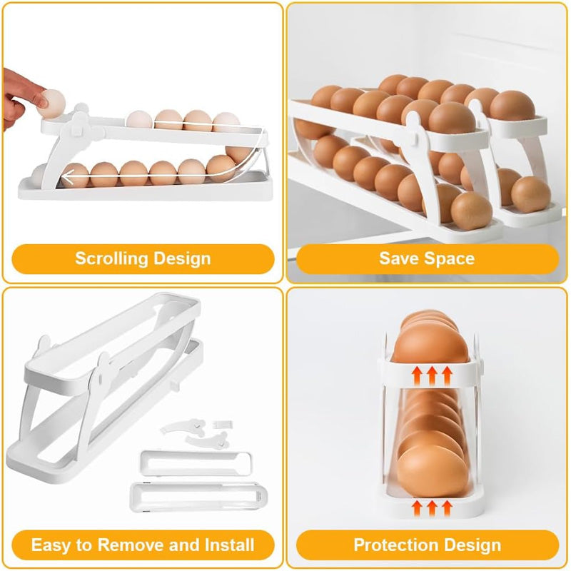 eggtray6 800x800 eggtray6 800x800